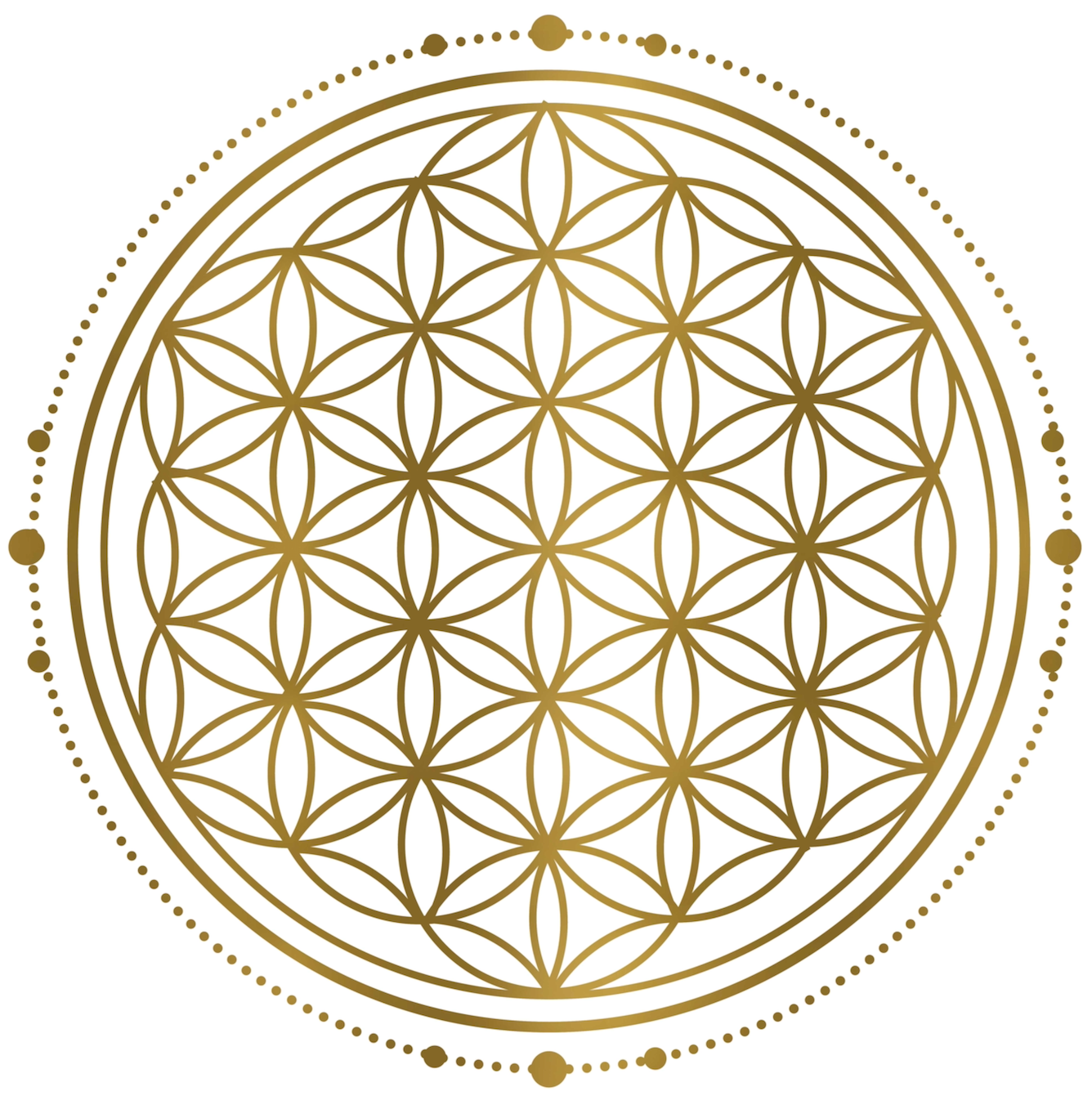 Cosmic_Child_by_Verena_Ofarim_Glücksbringer_Taler_Lebensblume