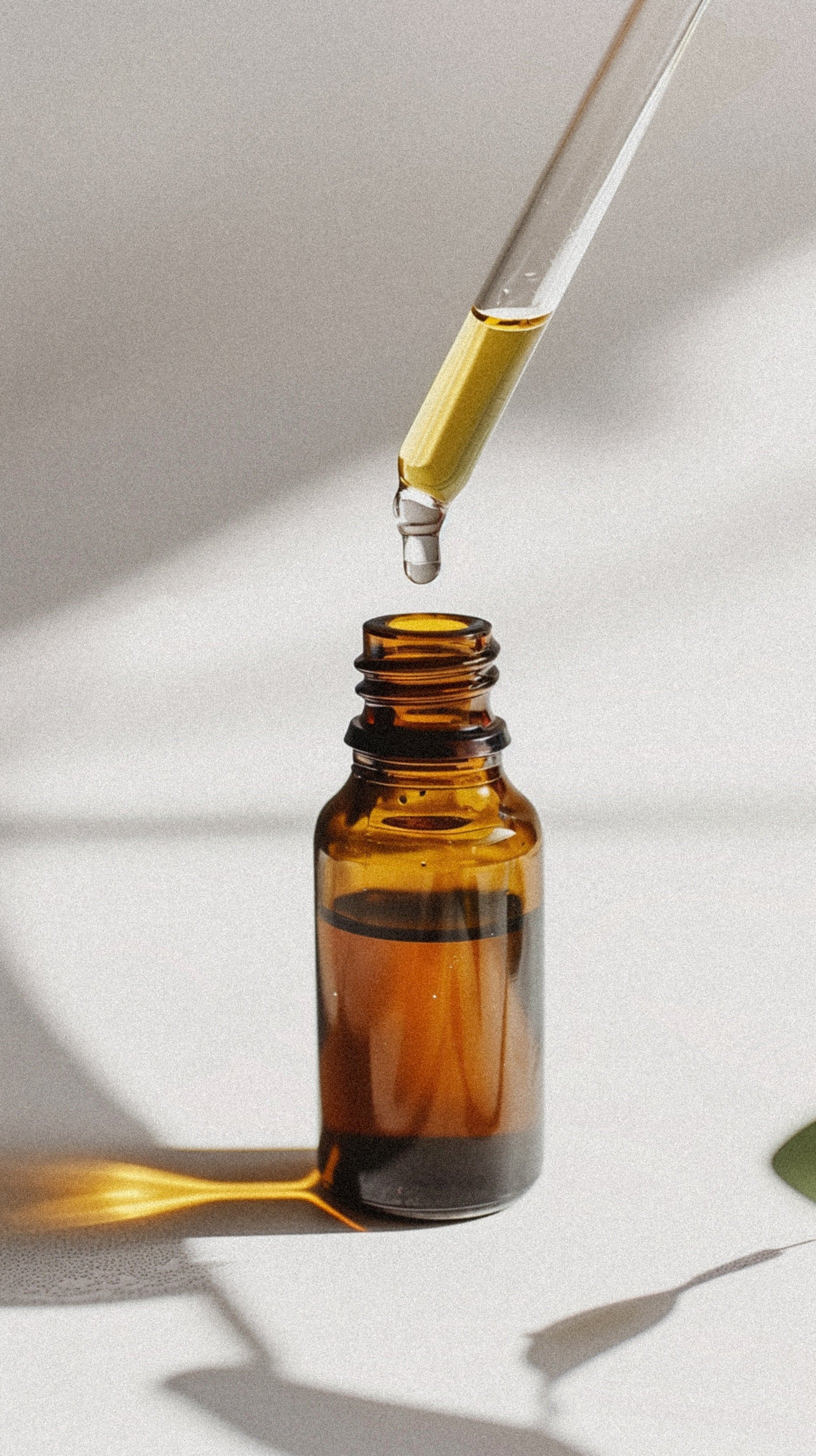 Die Kraft der Pflanzen: Ein Einstieg in die Welt der ätherischen Öle mit doTERRA